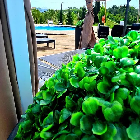 Collalto Con Piscina Holiday home Cerratina